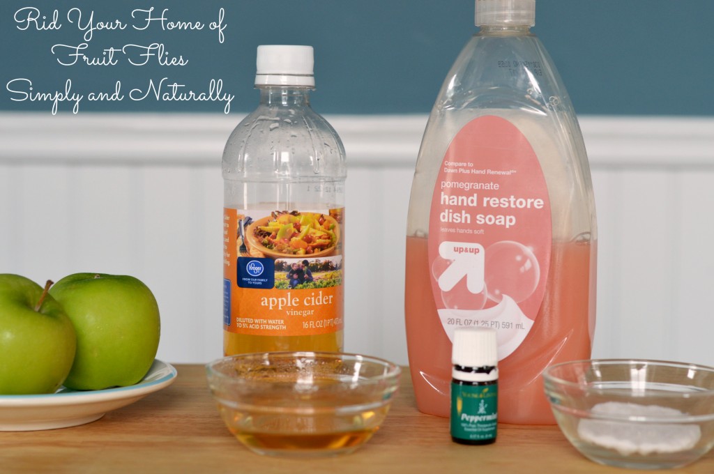 How do you get rid of fruit flies in the kitchen?