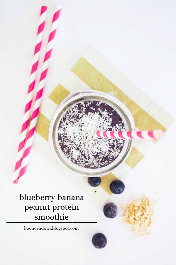 Low Fat Blueberry Smoothie 28